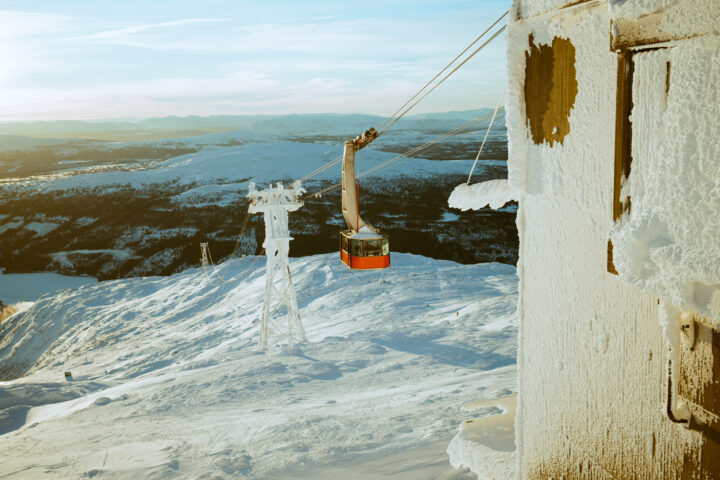 Alpine skiing