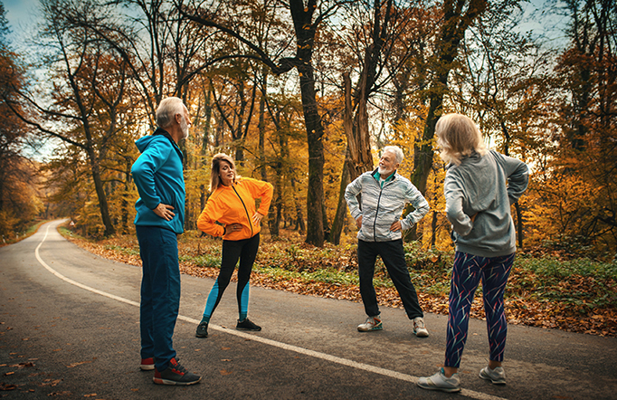 Group of mature folks exercising in a forest.